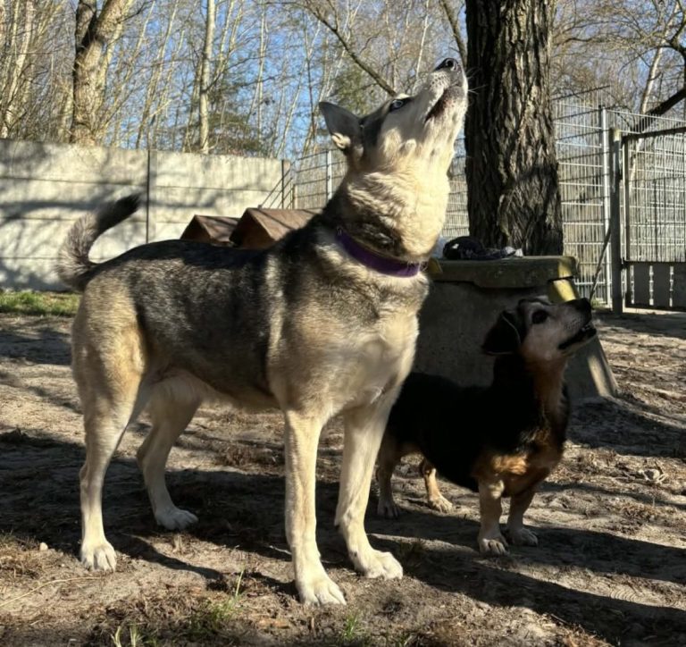 zdjęcie dekoracyjne