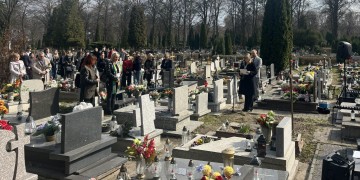 zdjęcie dekoracyjne