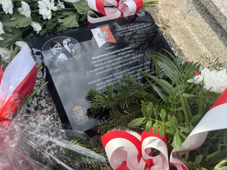 zdjęcie dekoracyjne