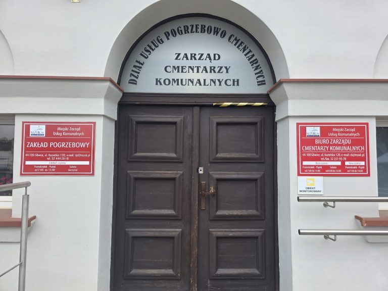 zdjęcie dekoracyjne