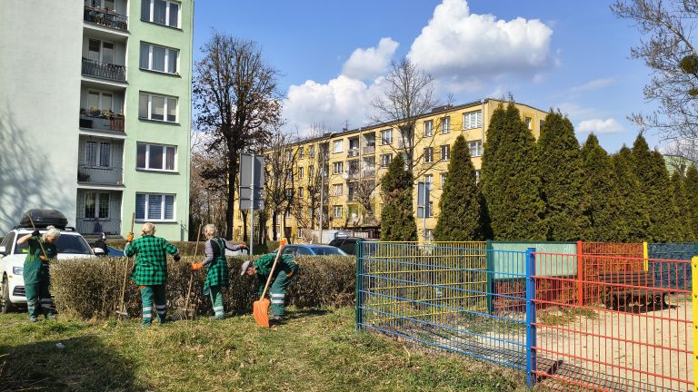 zdjęcie dekoracyjne