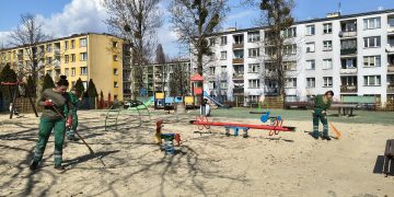 zdjęcie dekoracyjne