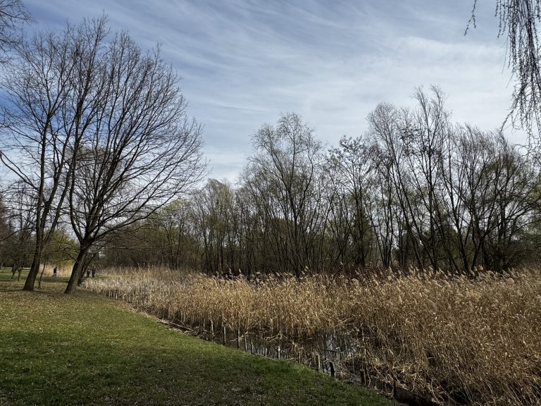 zdjęcie dekoracyjne