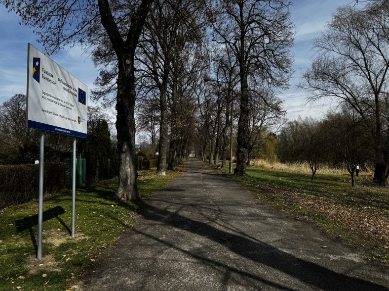 zdjęcie dekoracyjne