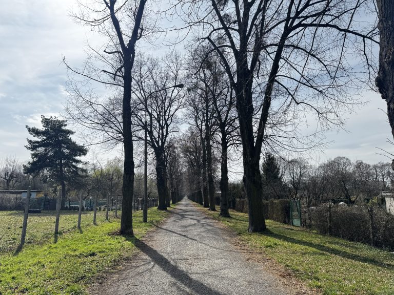 zdjęcie dekoracyjne