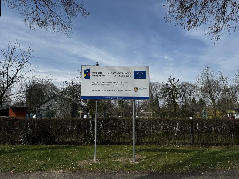 zdjęcie dekoracyjne