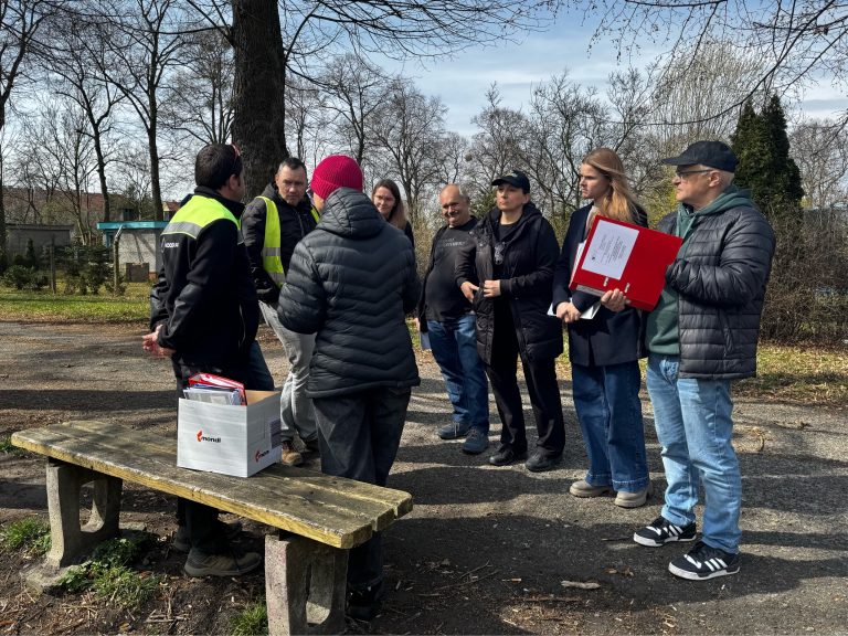 zdjęcie dekoracyjne