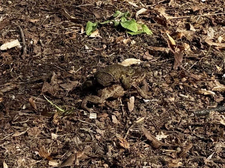 zdjęcie dekoracyjne