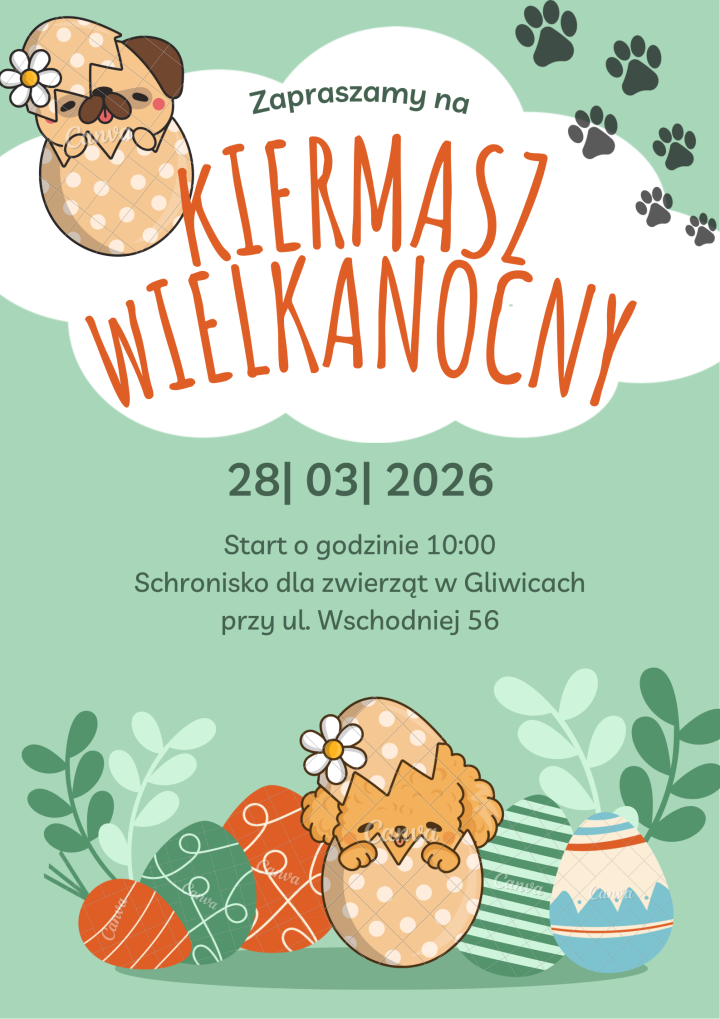 zdjęcie dekoracyjne