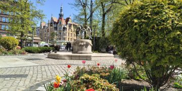 zdjęcie dekoracyjne