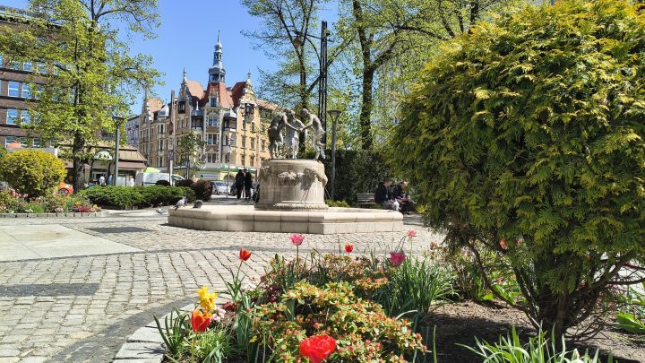 zdjęcie dekoracyjne