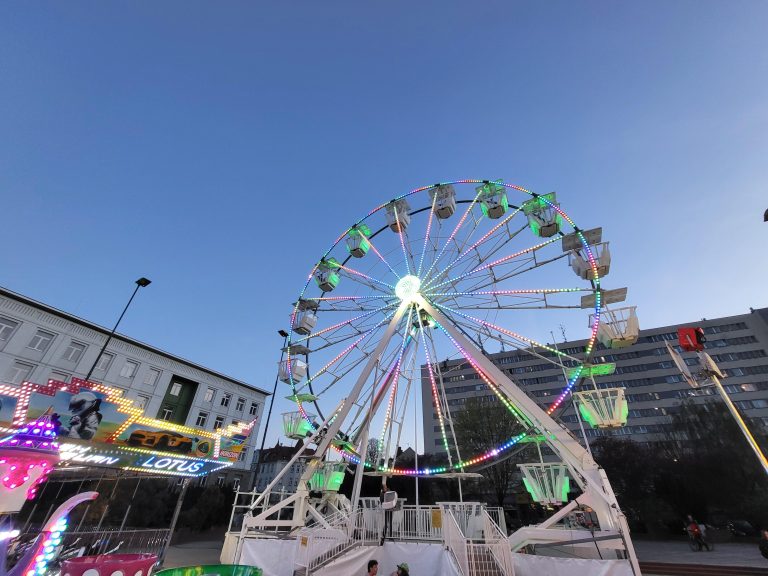 zdjęcie dekoracyjne