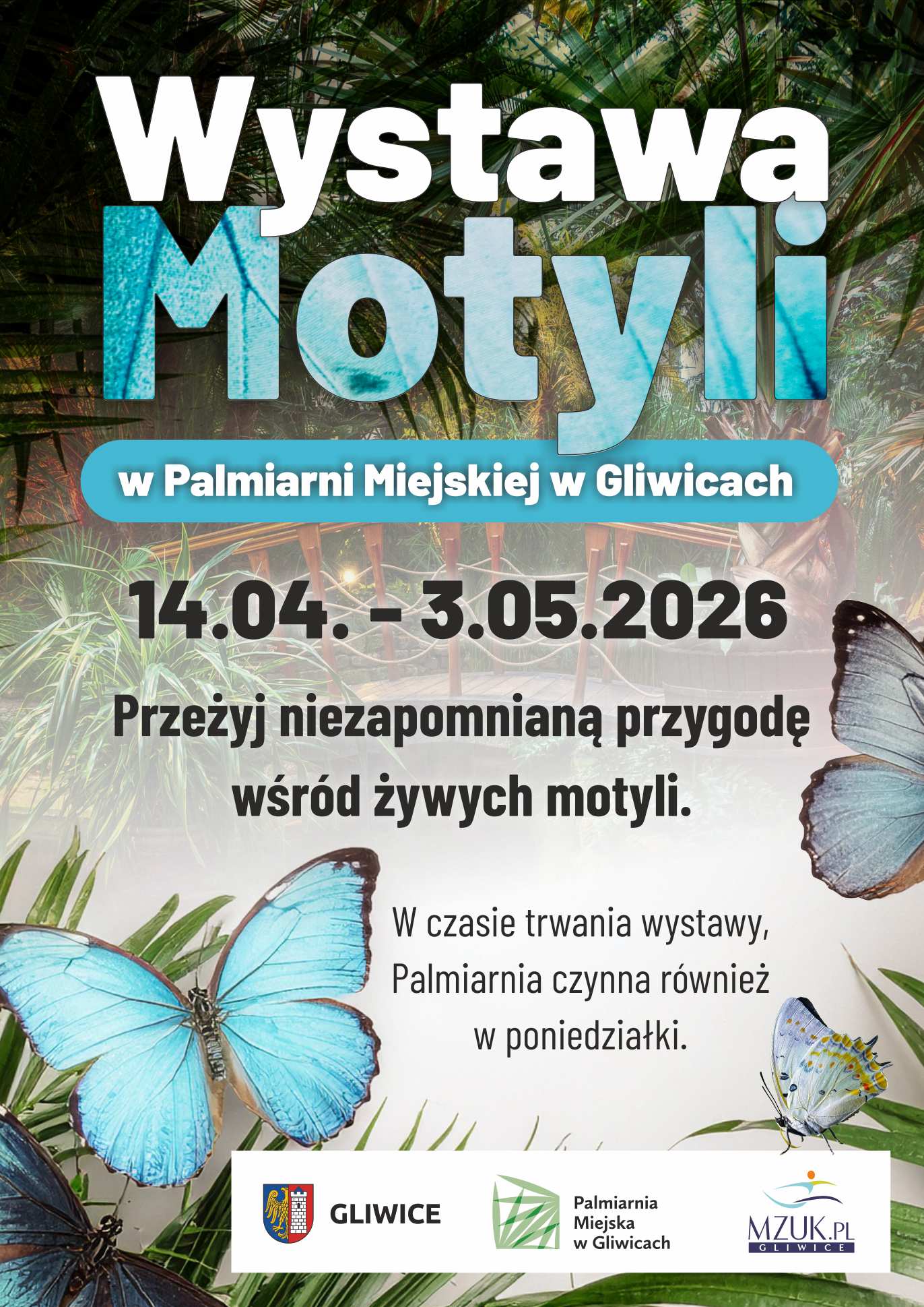 Wystawa żywych motyli w Palmiarni