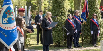 zdjęcie dekoracyjne