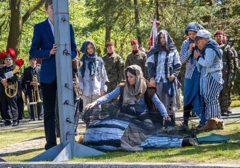 zdjęcie dekoracyjne