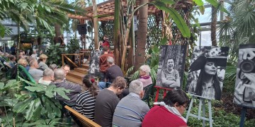 zdjęcie dekoracyjne