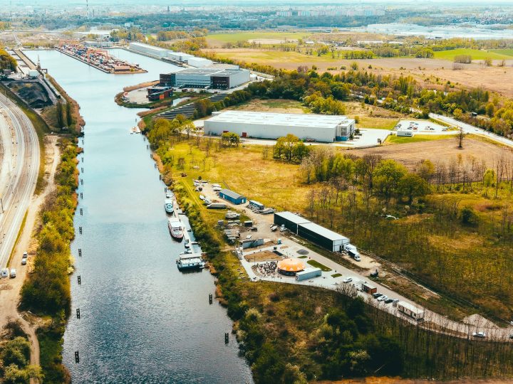 zdjęcie dekoracyjne