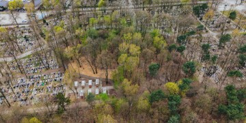 zdjęcie dekoracyjne