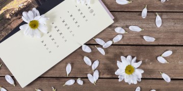 zdjęcie dekoracyjne