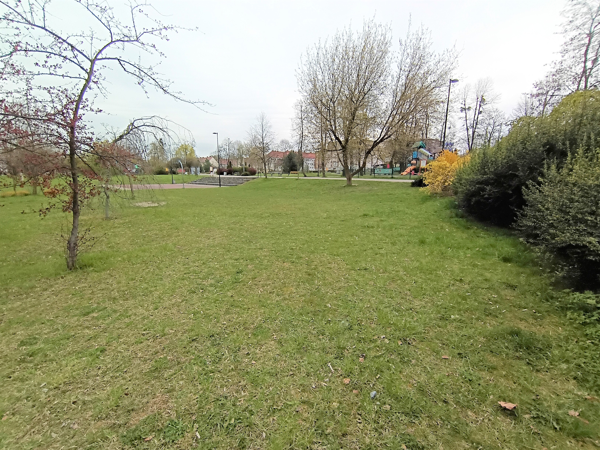 Ninja Park przy ul. Narutowicza.
