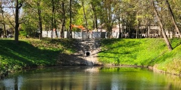 zdjęcie dekoracyjne