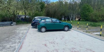 zdjęcie dekoracyjne