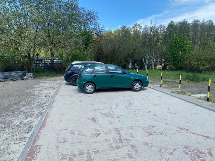 zdjęcie dekoracyjne