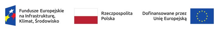 zdjęcie dekoracyjne