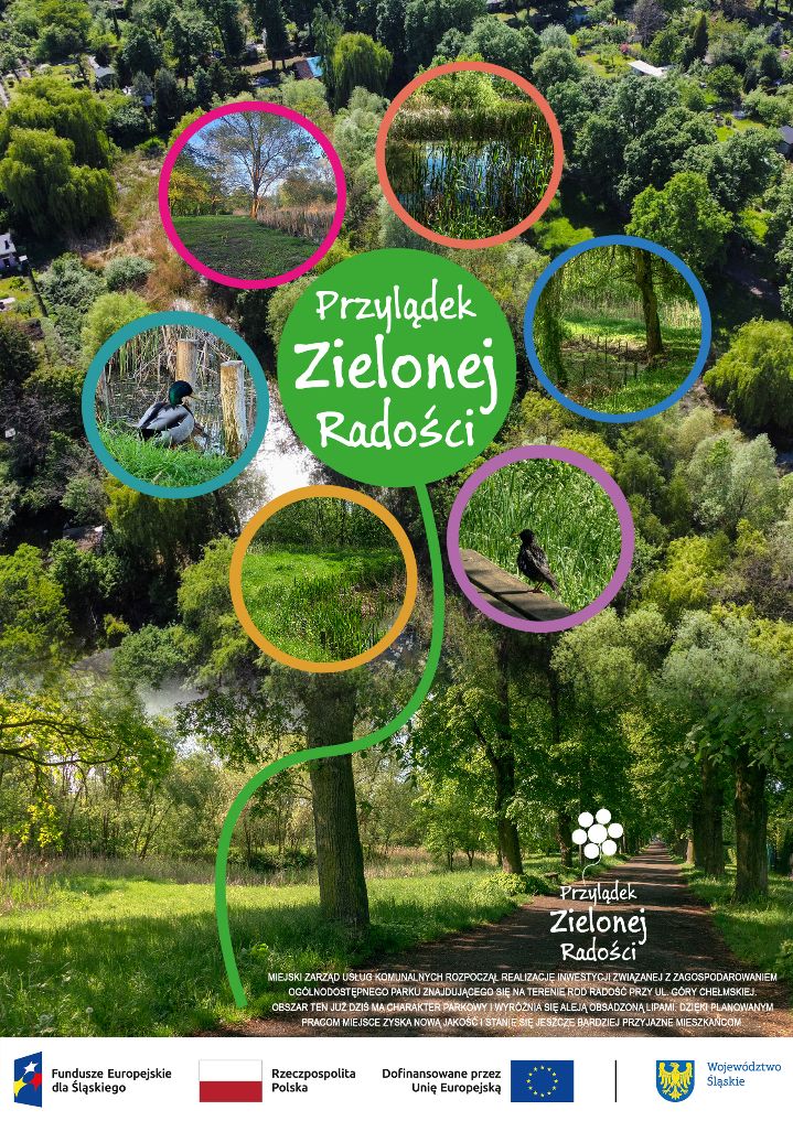 zdjęcie dekoracyjne