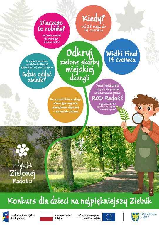 zdjęcie dekoracyjne