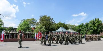 zdjęcie dekoracyjne