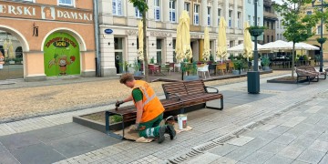 zdjęcie dekoracyjne
