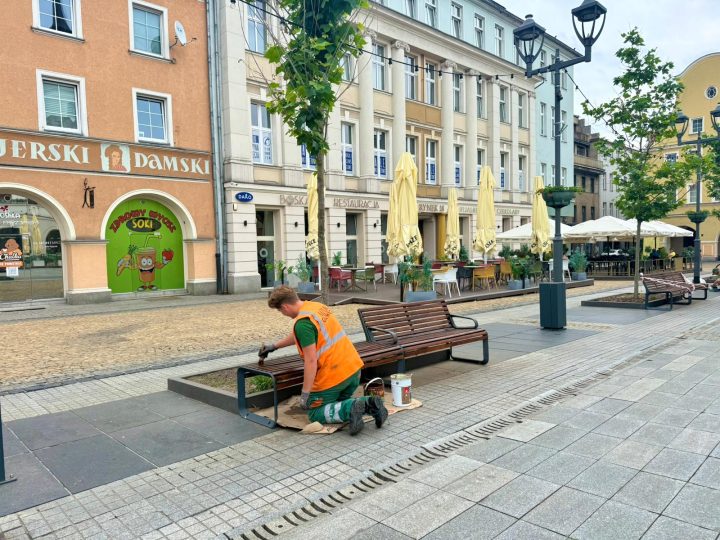 zdjęcie dekoracyjne