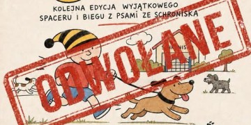 zdjęcie dekoracyjne