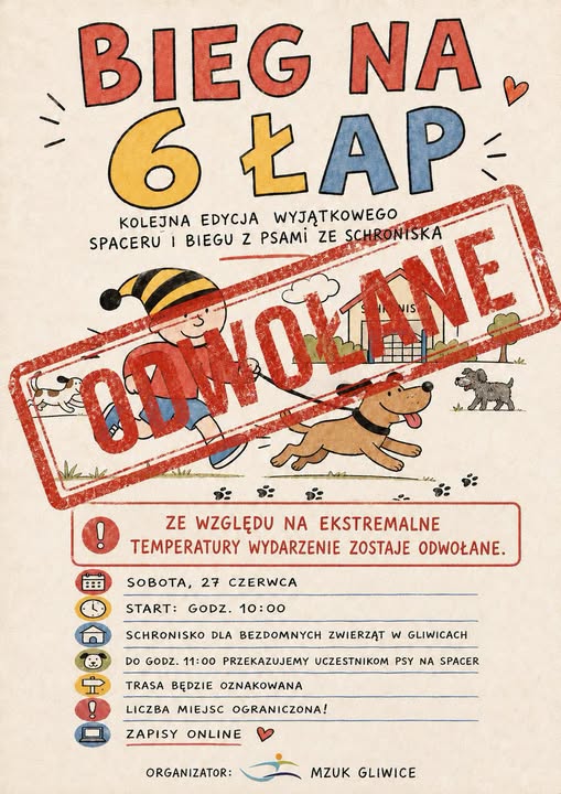 zdjęcie dekoracyjne