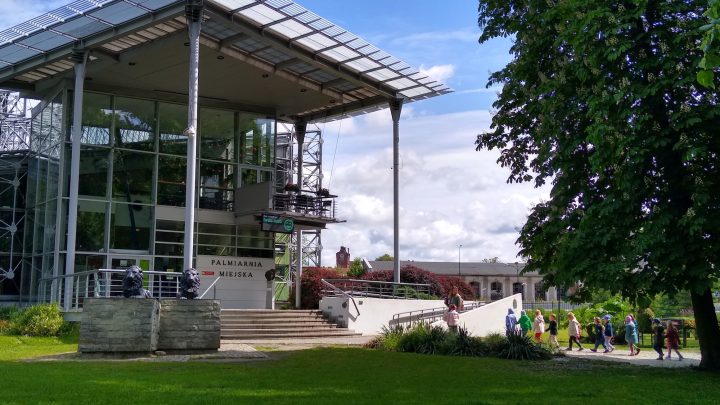 zdjęcie dekoracyjne