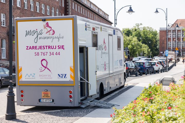 zdjęcie dekoracyjne