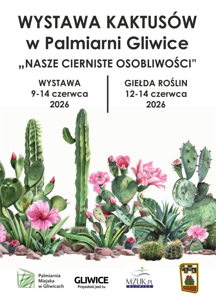 zdjęcie dekoracyjne
