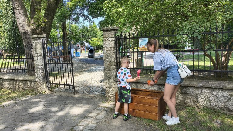 zdjęcie dekoracyjne