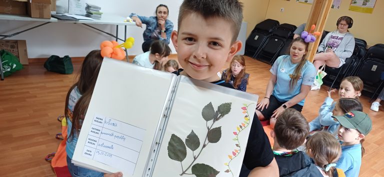 zdjęcie dekoracyjne