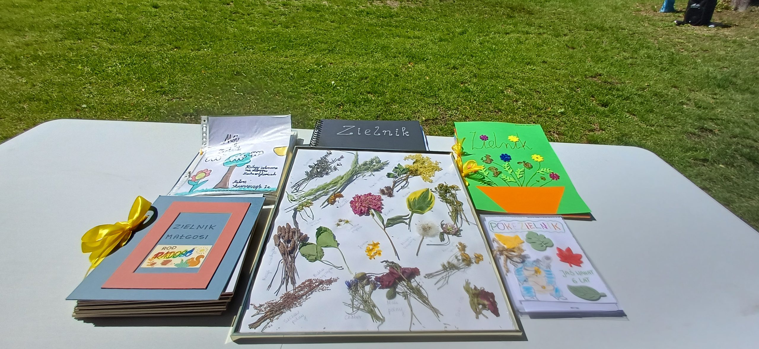 Konkurs „Odkryj zielone skarby miejskiej dżungli” potrwa dłużej