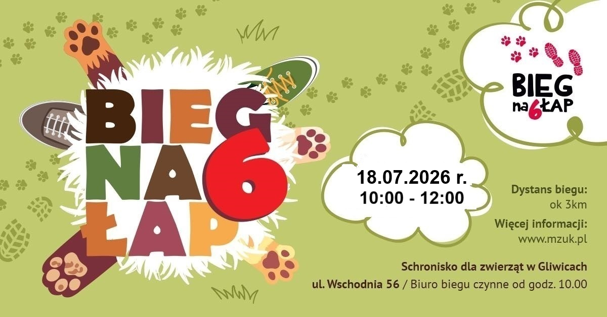 Wakacyjny Bieg na 6 łap