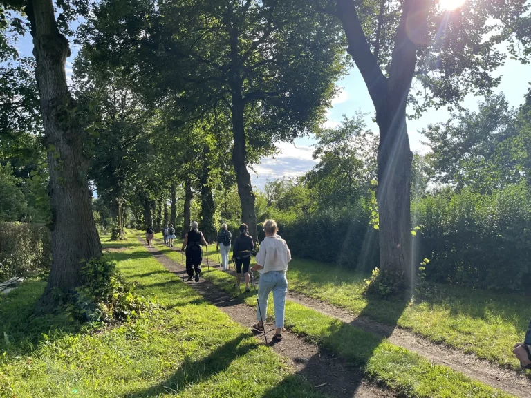 zdjęcie dekoracyjne