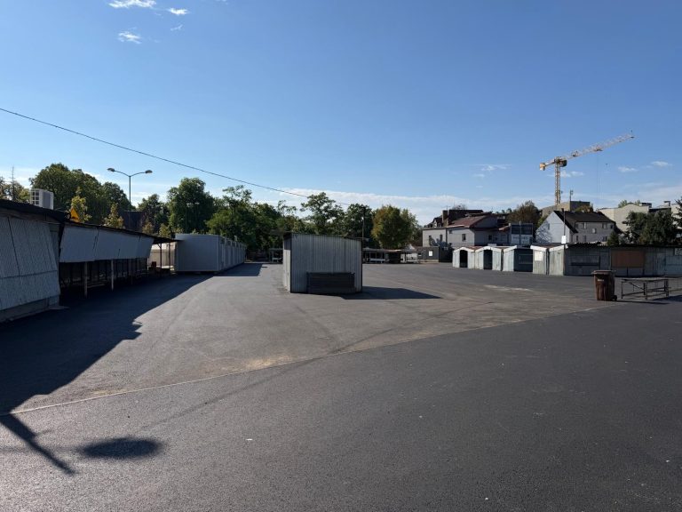 zdjęcie dekoracyjne
