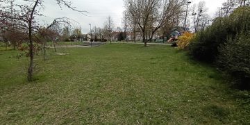 zdjęcie dekoracyjne