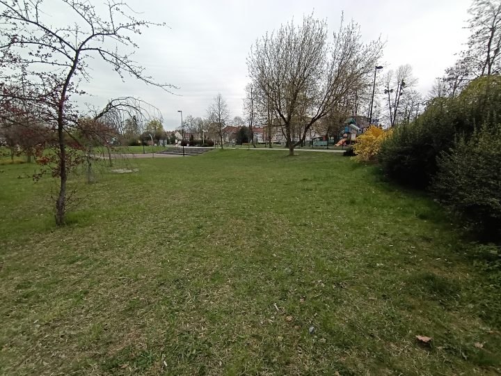 zdjęcie dekoracyjne