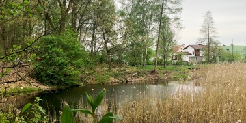 zdjęcie dekoracyjne