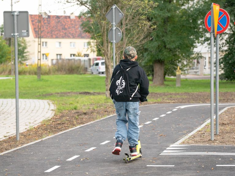 zdjęcie dekoracyjne