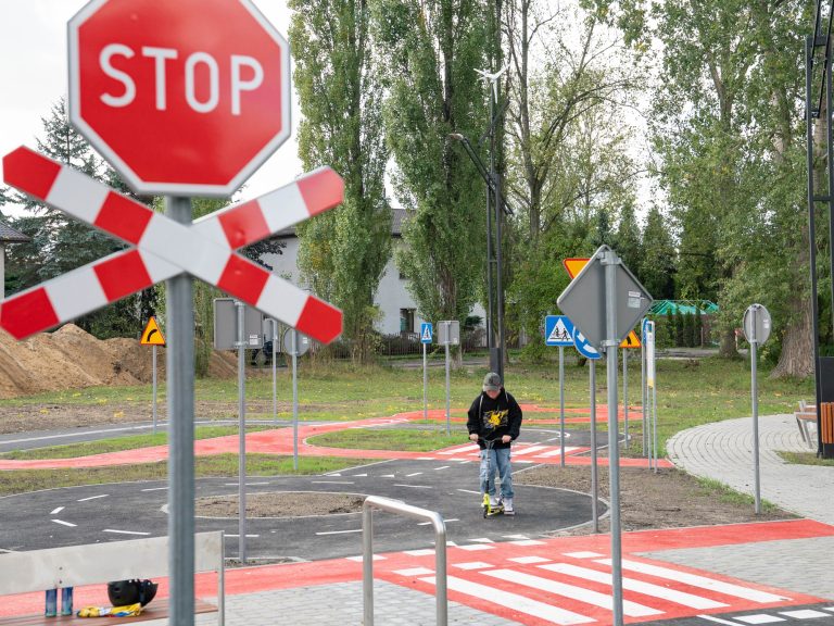 zdjęcie dekoracyjne