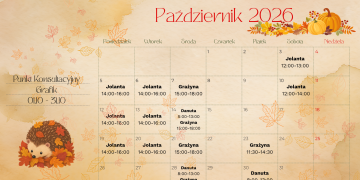 zdjęcie dekoracyjne